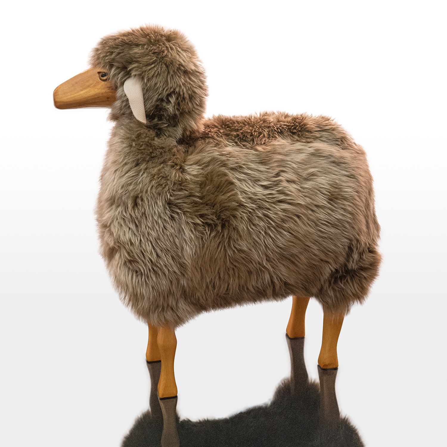 sheep_02_2016_020.jpeg
